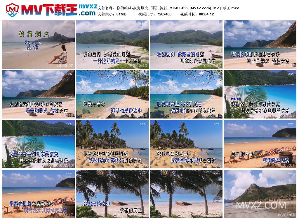 你的叽叽-寂寞烟火_国语_流行_MD400465